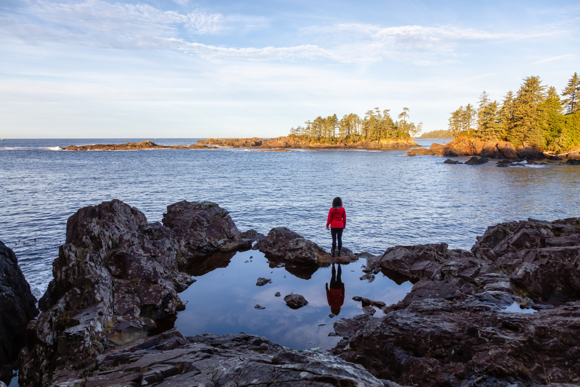 A hiker on Thetis Island, looking out over the coastline from a forested trail on a clear winter afternoon.