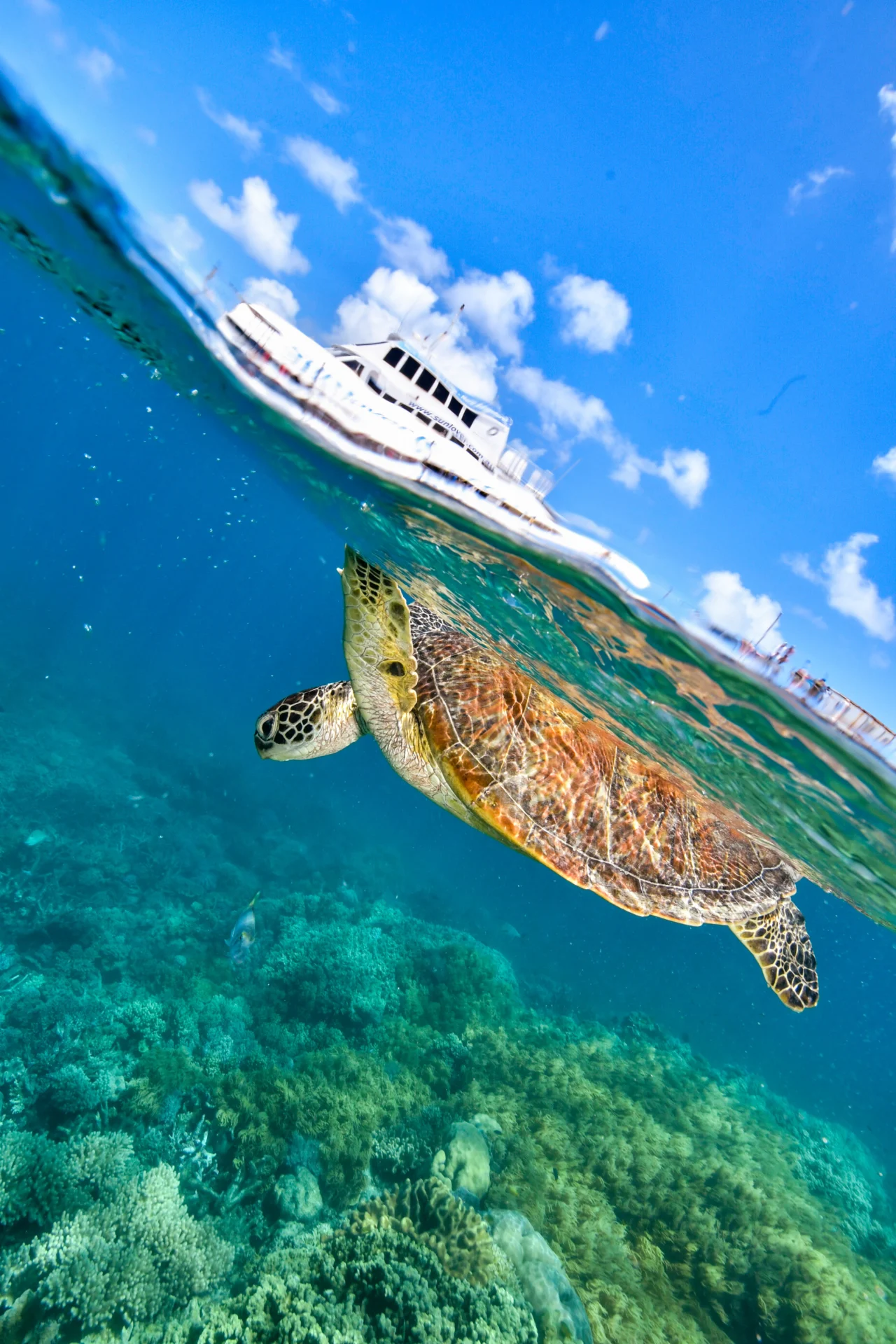 An overhead shot of a yacht anchored near a vibrant coral reef, showcasing eco-friendly anchoring practices that protect delicate marine ecosystems.