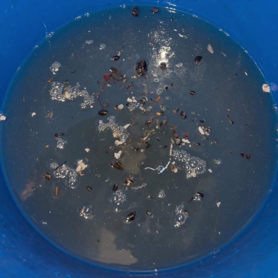 Debris left in bucket after marine AC descaling flush